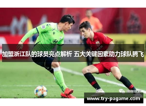 加盟浙江队的球员亮点解析 五大关键因素助力球队腾飞