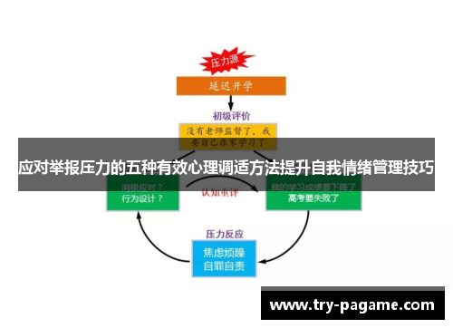 应对举报压力的五种有效心理调适方法提升自我情绪管理技巧