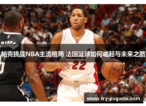 帕克挑战NBA主流格局 法国篮球如何崛起与未来之路