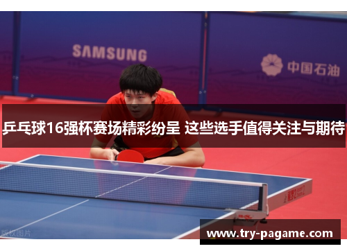 乒乓球16强杯赛场精彩纷呈 这些选手值得关注与期待