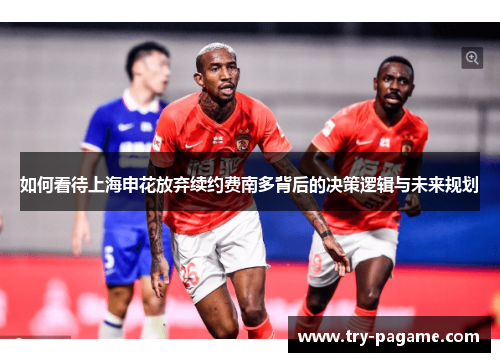 如何看待上海申花放弃续约费南多背后的决策逻辑与未来规划