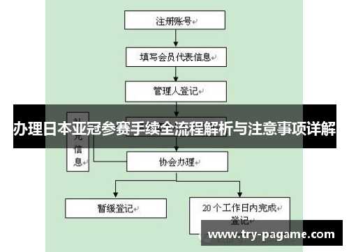 办理日本亚冠参赛手续全流程解析与注意事项详解
