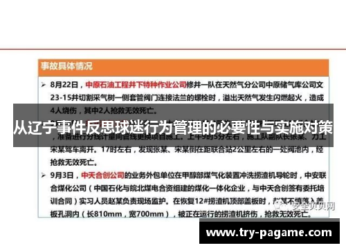 从辽宁事件反思球迷行为管理的必要性与实施对策