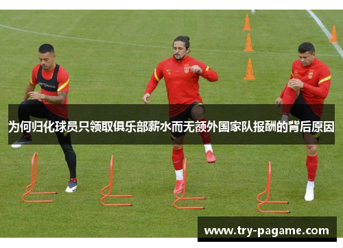 为何归化球员只领取俱乐部薪水而无额外国家队报酬的背后原因