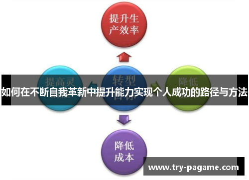 如何在不断自我革新中提升能力实现个人成功的路径与方法