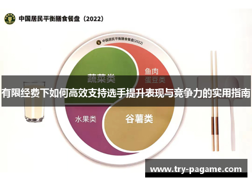 有限经费下如何高效支持选手提升表现与竞争力的实用指南