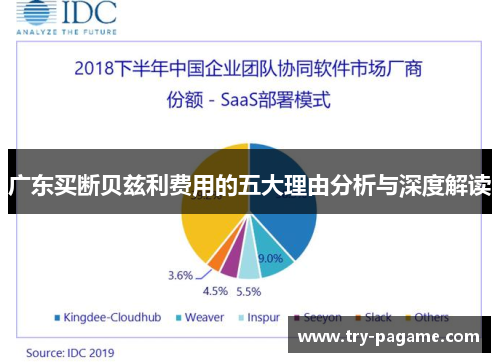 广东买断贝兹利费用的五大理由分析与深度解读