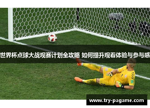 世界杯点球大战观赛计划全攻略 如何提升观看体验与参与感