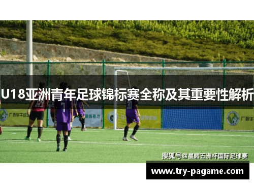 U18亚洲青年足球锦标赛全称及其重要性解析