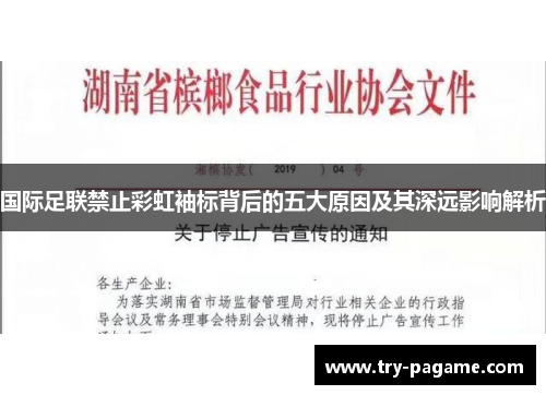 国际足联禁止彩虹袖标背后的五大原因及其深远影响解析