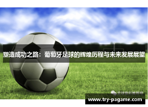 塑造成功之路：葡萄牙足球的辉煌历程与未来发展展望