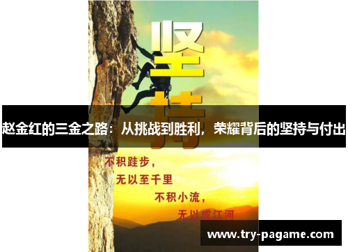 赵金红的三金之路：从挑战到胜利，荣耀背后的坚持与付出