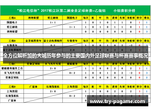 全方位解析加的夫城历年参与的主要国内外足球联赛与杯赛赛事概况