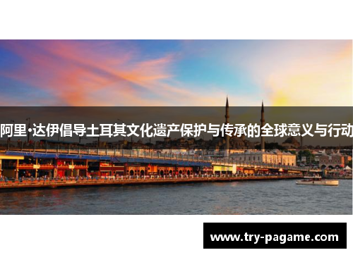 阿里·达伊倡导土耳其文化遗产保护与传承的全球意义与行动