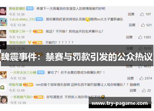 魏震事件：禁赛与罚款引发的公众热议