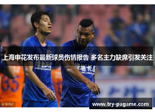 上海申花发布最新球员伤情报告 多名主力缺席引发关注
