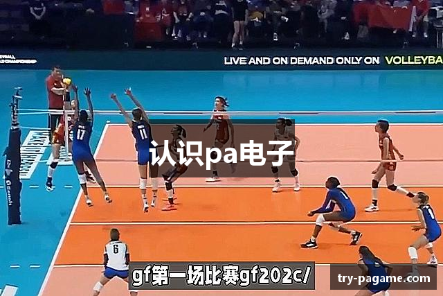 认识pa电子